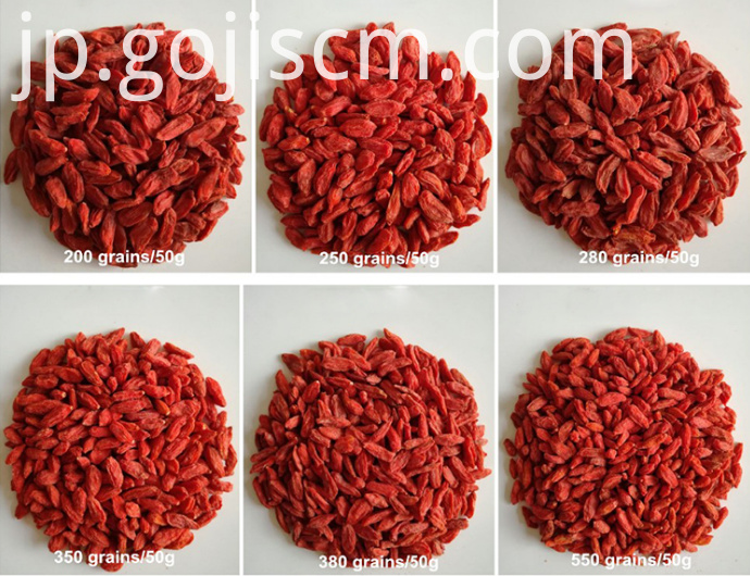 新しい天然Gojiのベリーのサイズ New Natural Goji Berry sizes